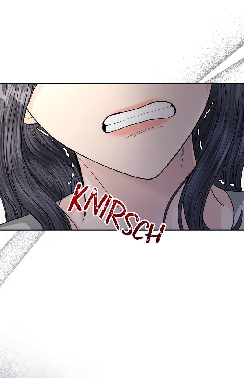 Read Perfect Marriage Revenge Manga Online