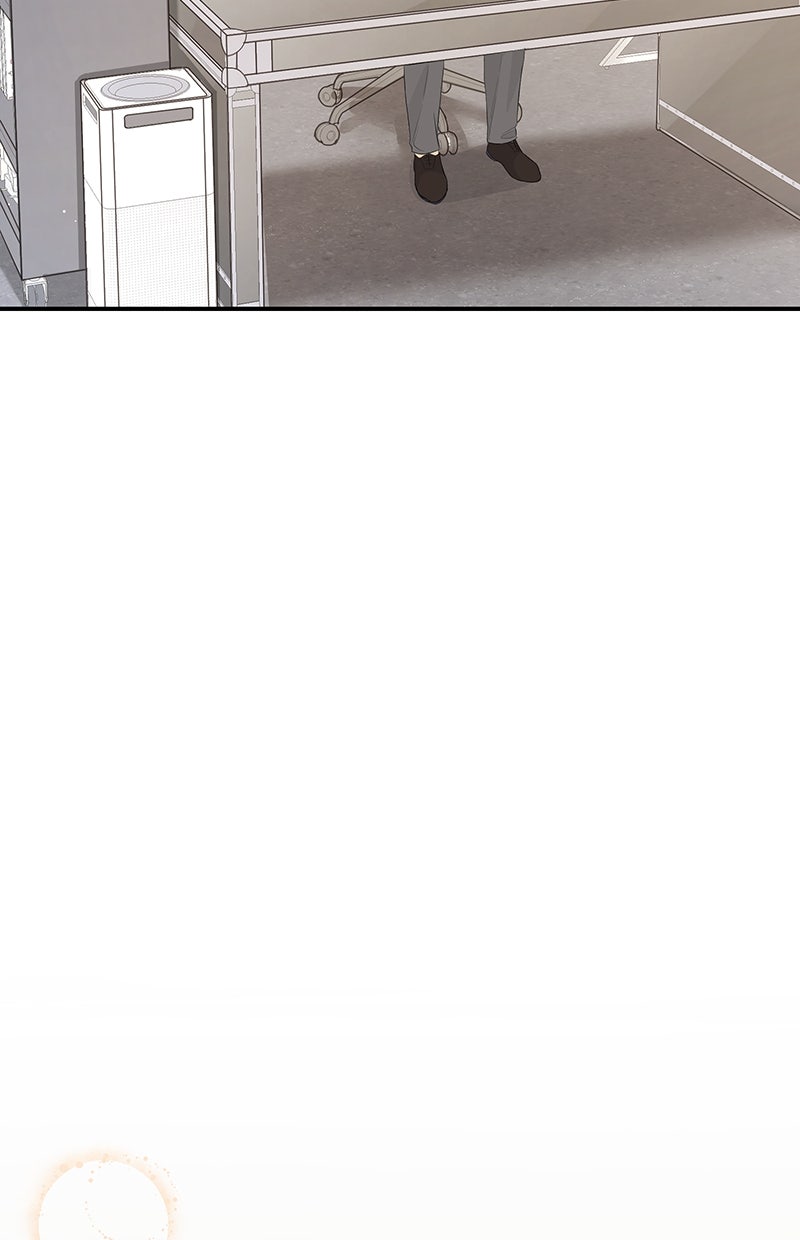 Read Perfect Marriage Revenge Manga Online
