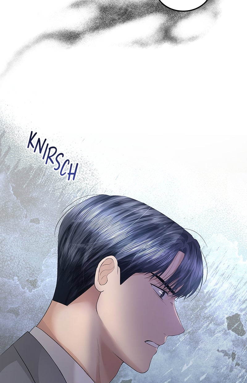 Read Perfect Marriage Revenge Manga Online