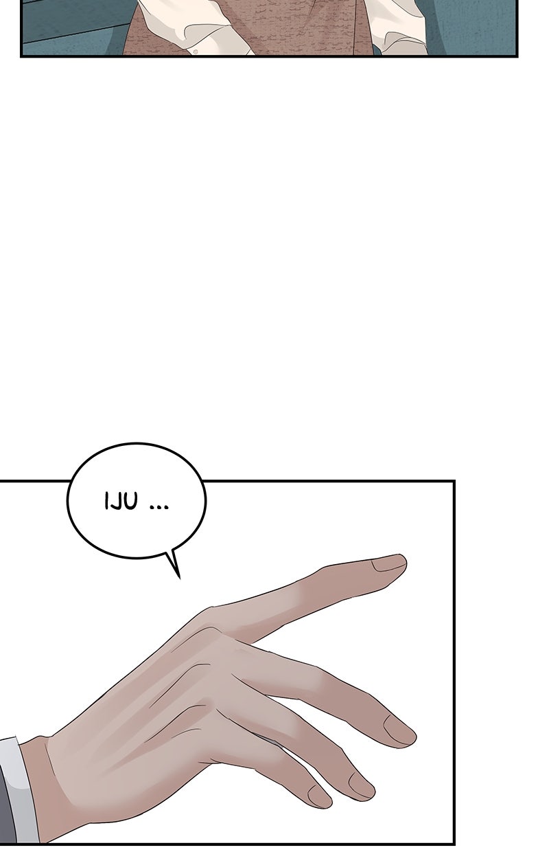 Read Perfect Marriage Revenge Manga Online