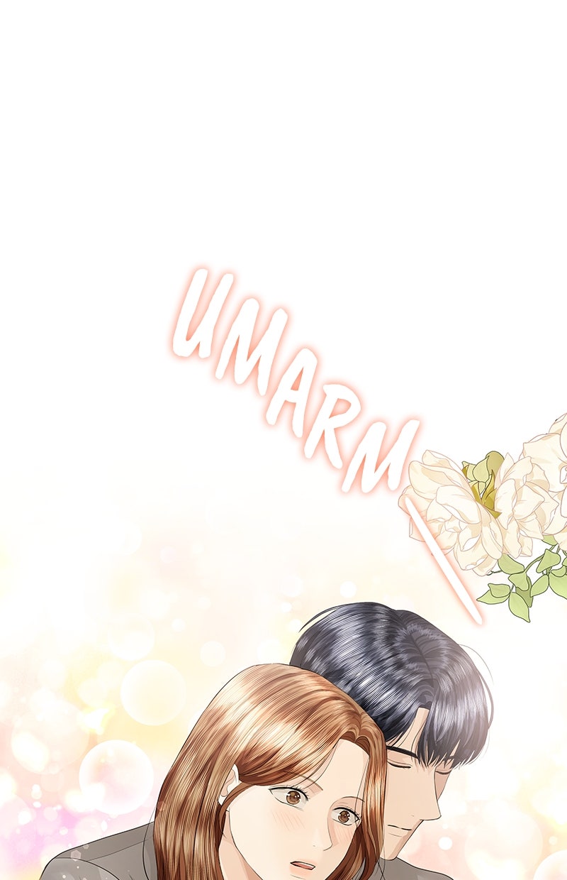 Read Perfect Marriage Revenge Manga Online