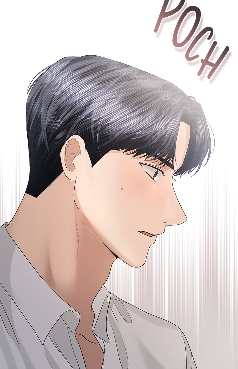 Read Perfect Marriage Revenge Manga Online