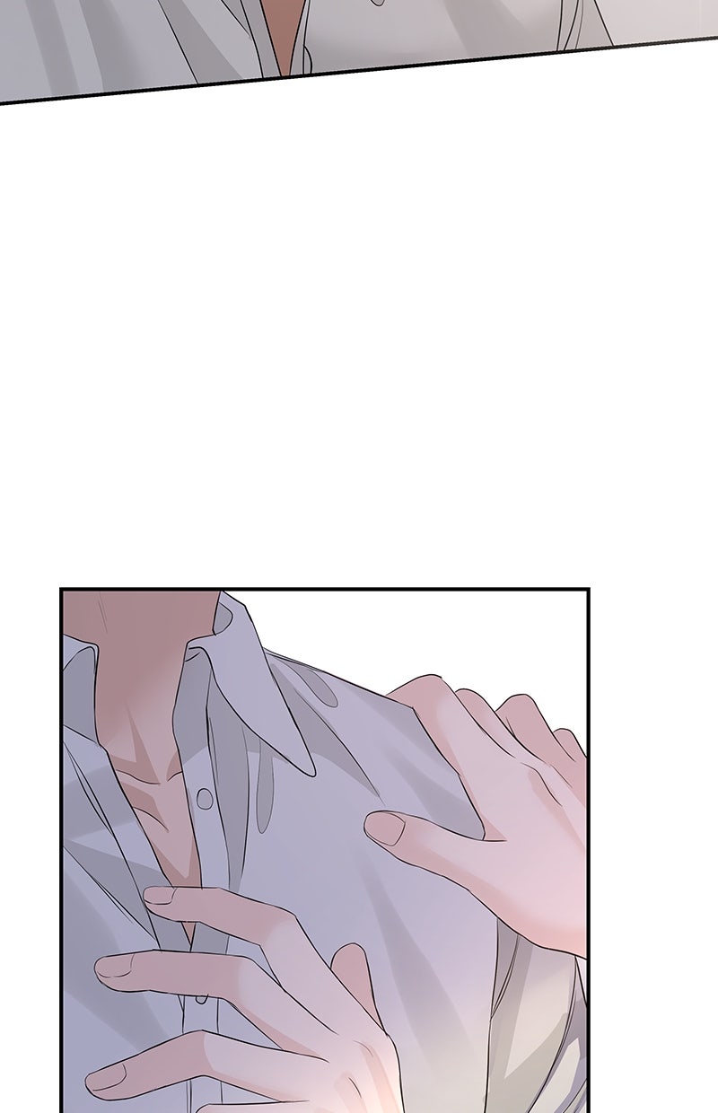 Read Perfect Marriage Revenge Manga Online