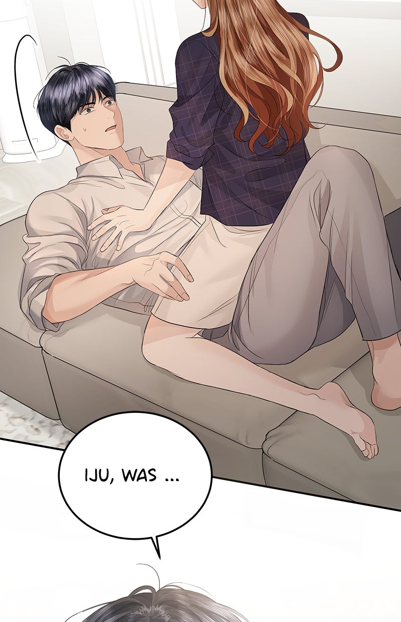 Read Perfect Marriage Revenge Manga Online
