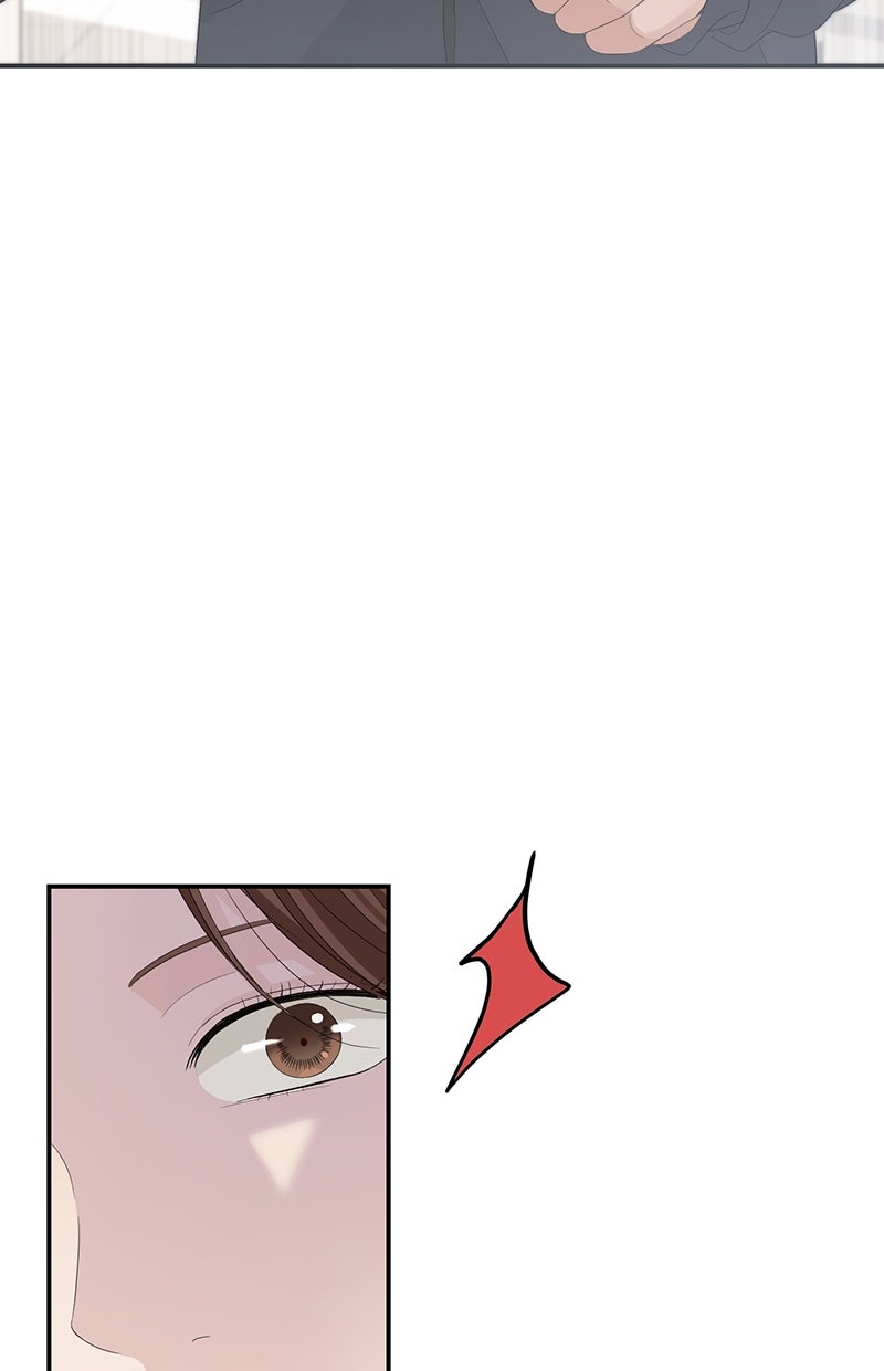 Read Perfect Marriage Revenge Manga Online