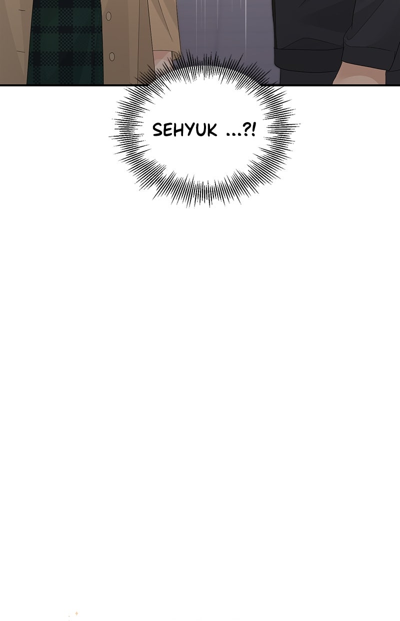 Read Perfect Marriage Revenge Manga Online