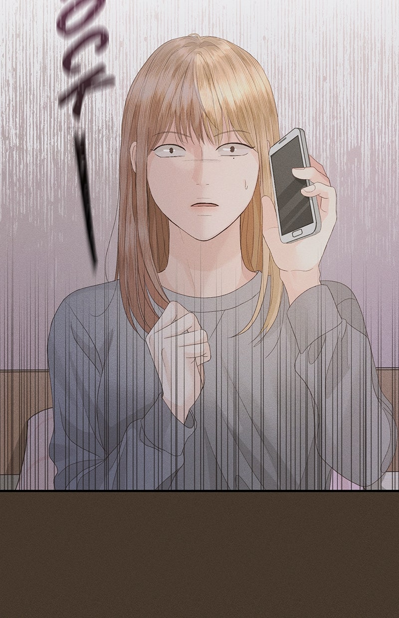 Read Perfect Marriage Revenge Manga Online
