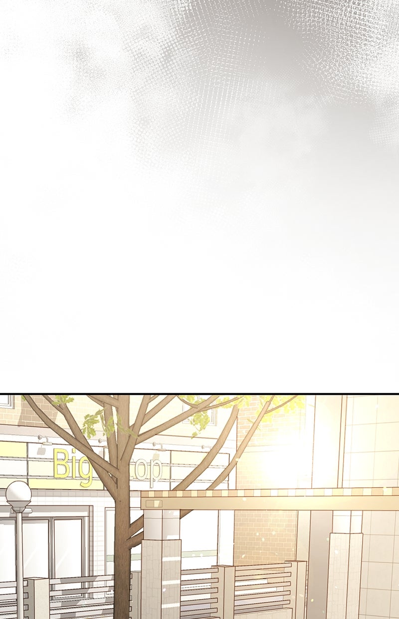 Read Perfect Marriage Revenge Manga Online