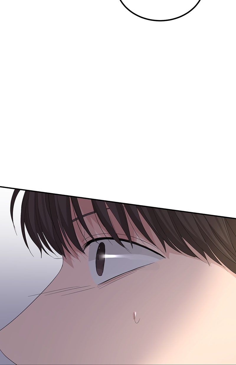 Read Perfect Marriage Revenge Manga Online