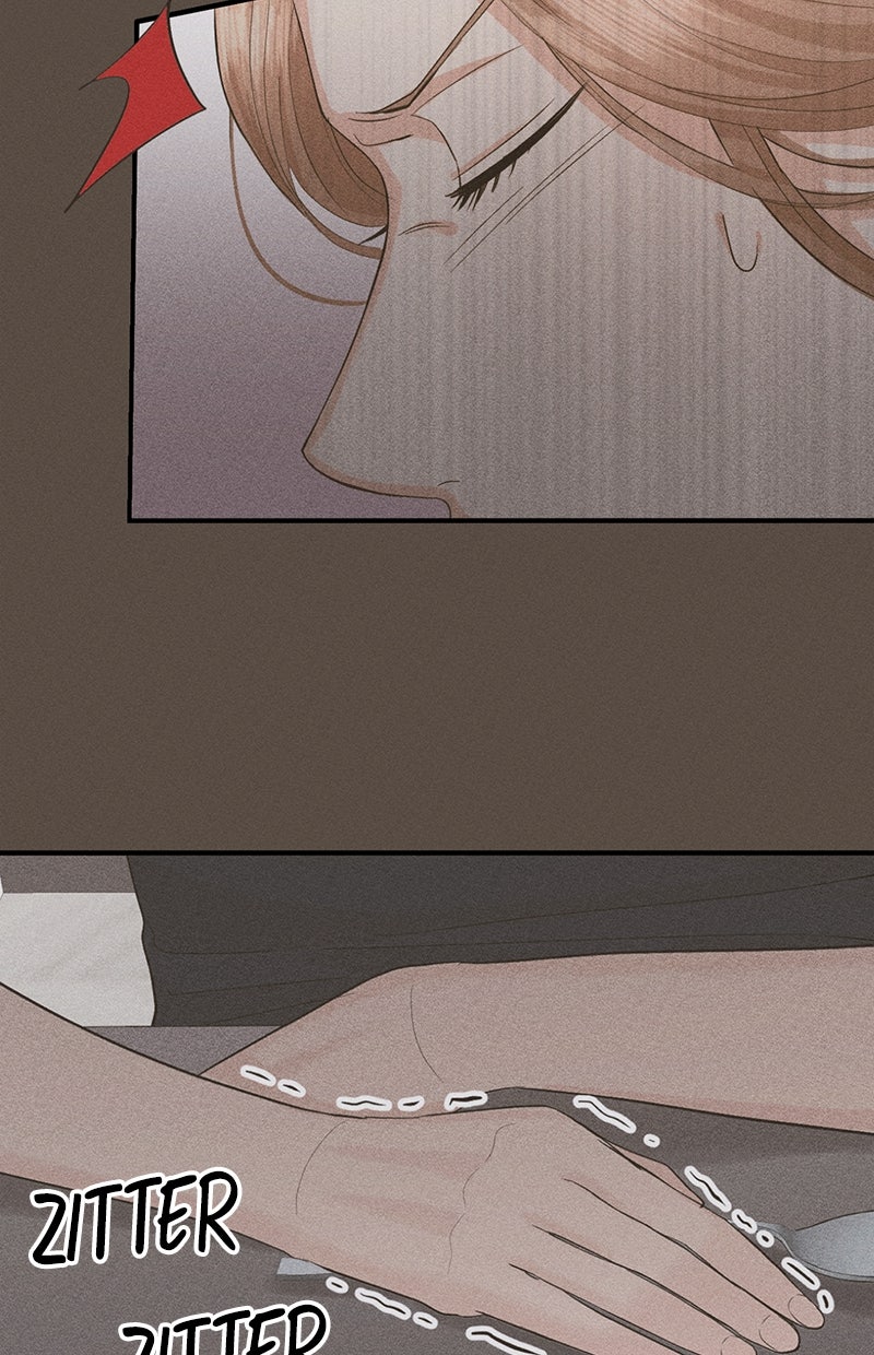 Read Perfect Marriage Revenge Manga Online