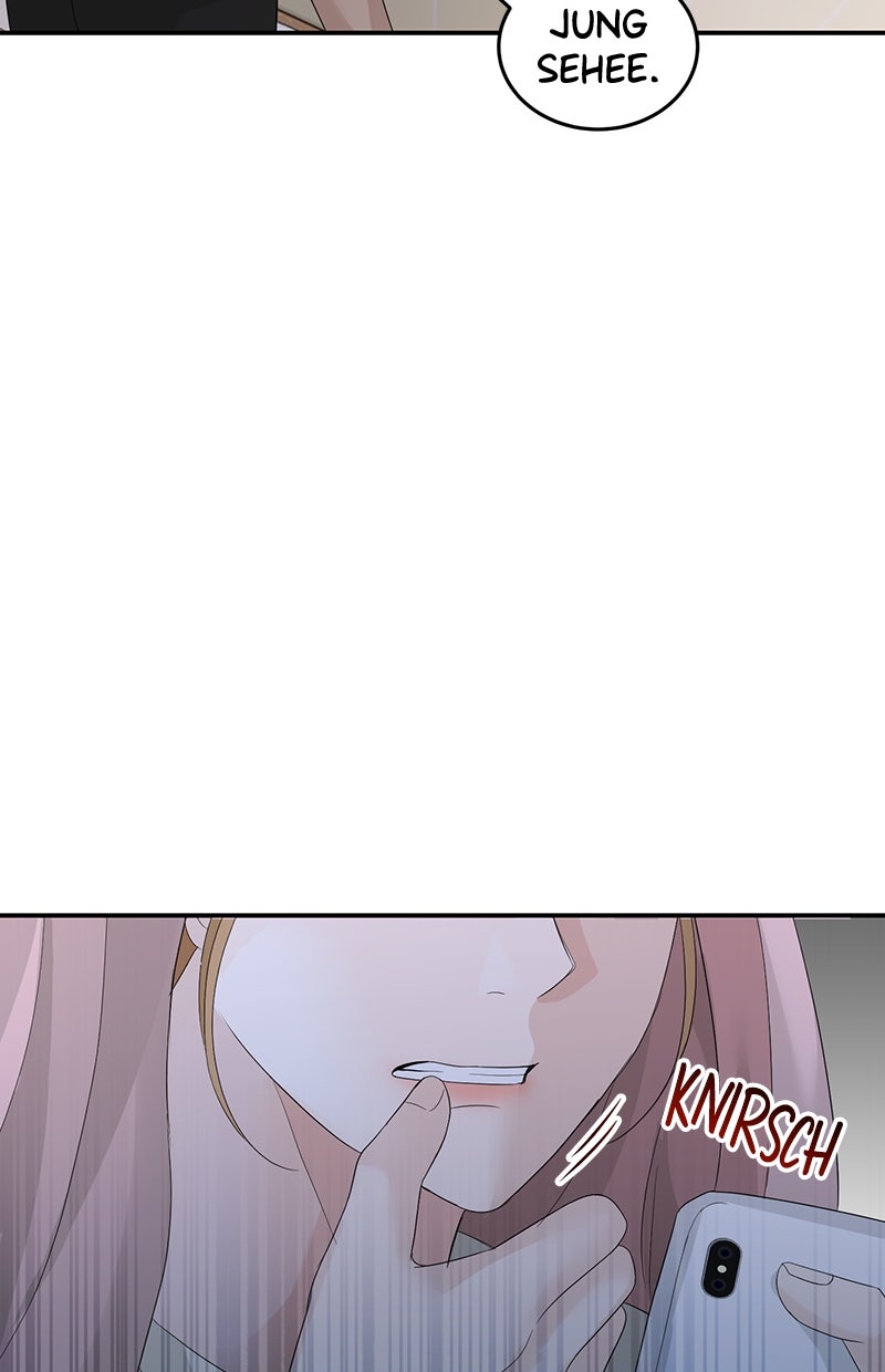 Read Perfect Marriage Revenge Manga Online