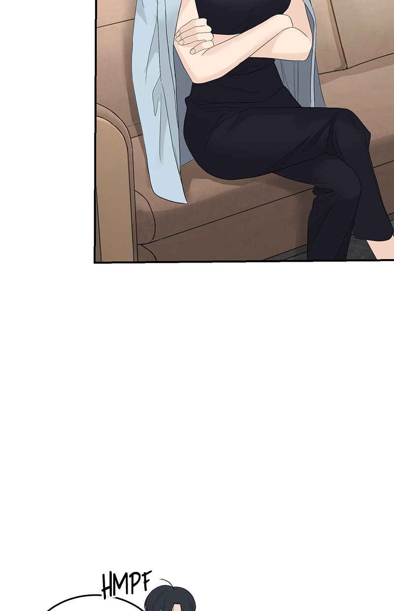 Read Perfect Marriage Revenge Manga Online