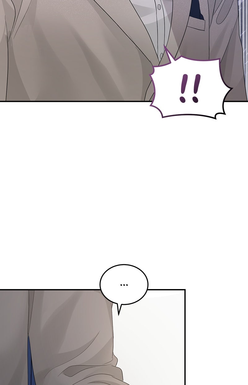Read Perfect Marriage Revenge Manga Online