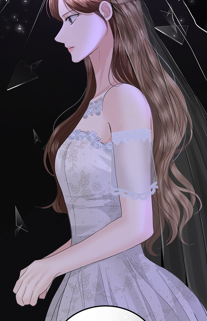 Read Perfect Marriage Revenge Manga Online