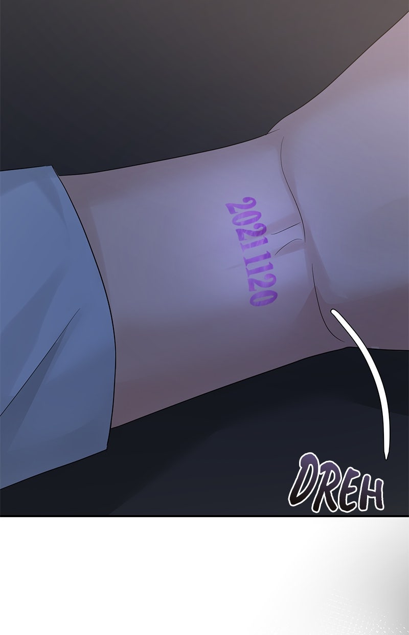 Read Perfect Marriage Revenge Manga Online