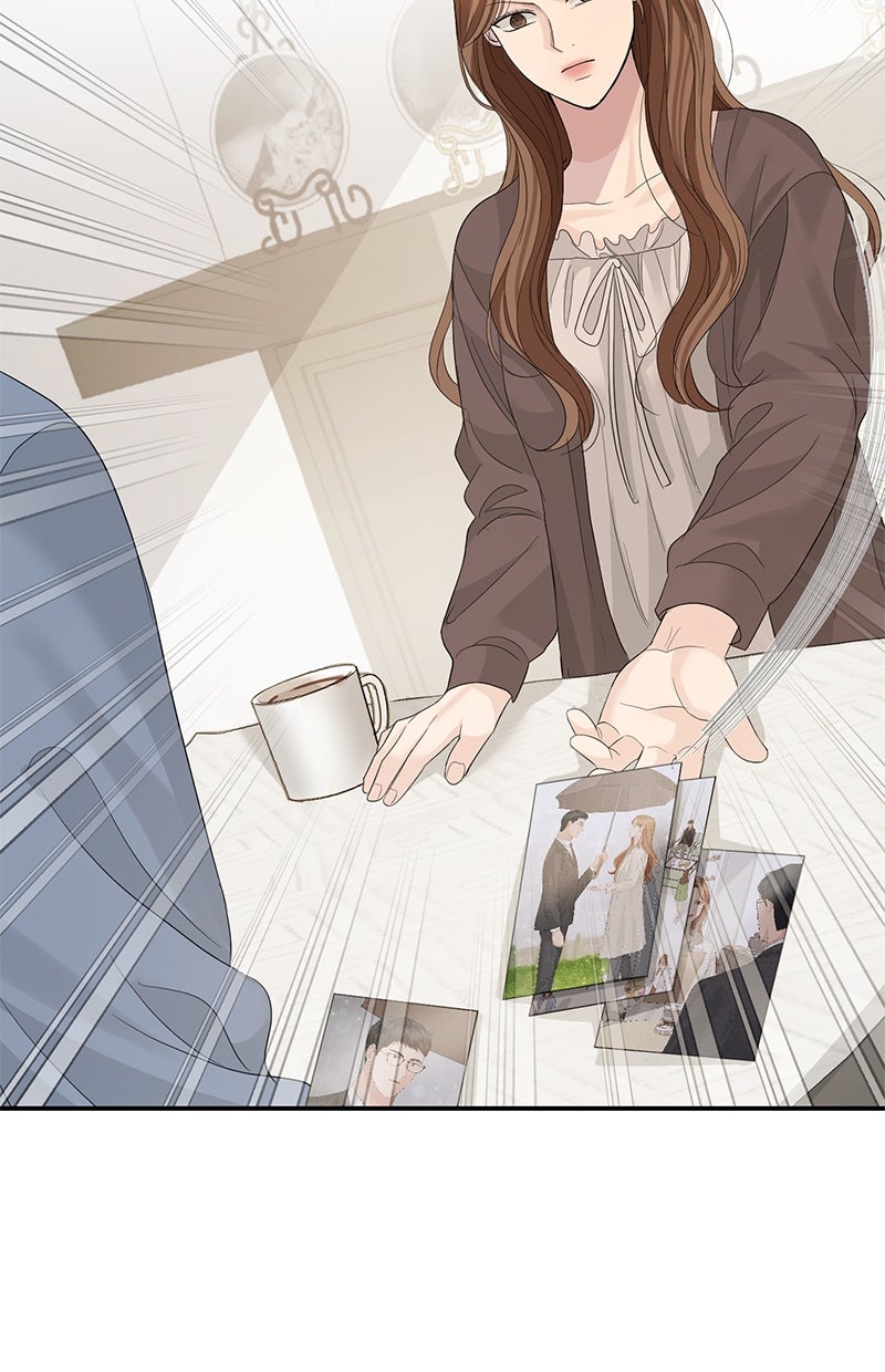 Read Perfect Marriage Revenge Manga Online