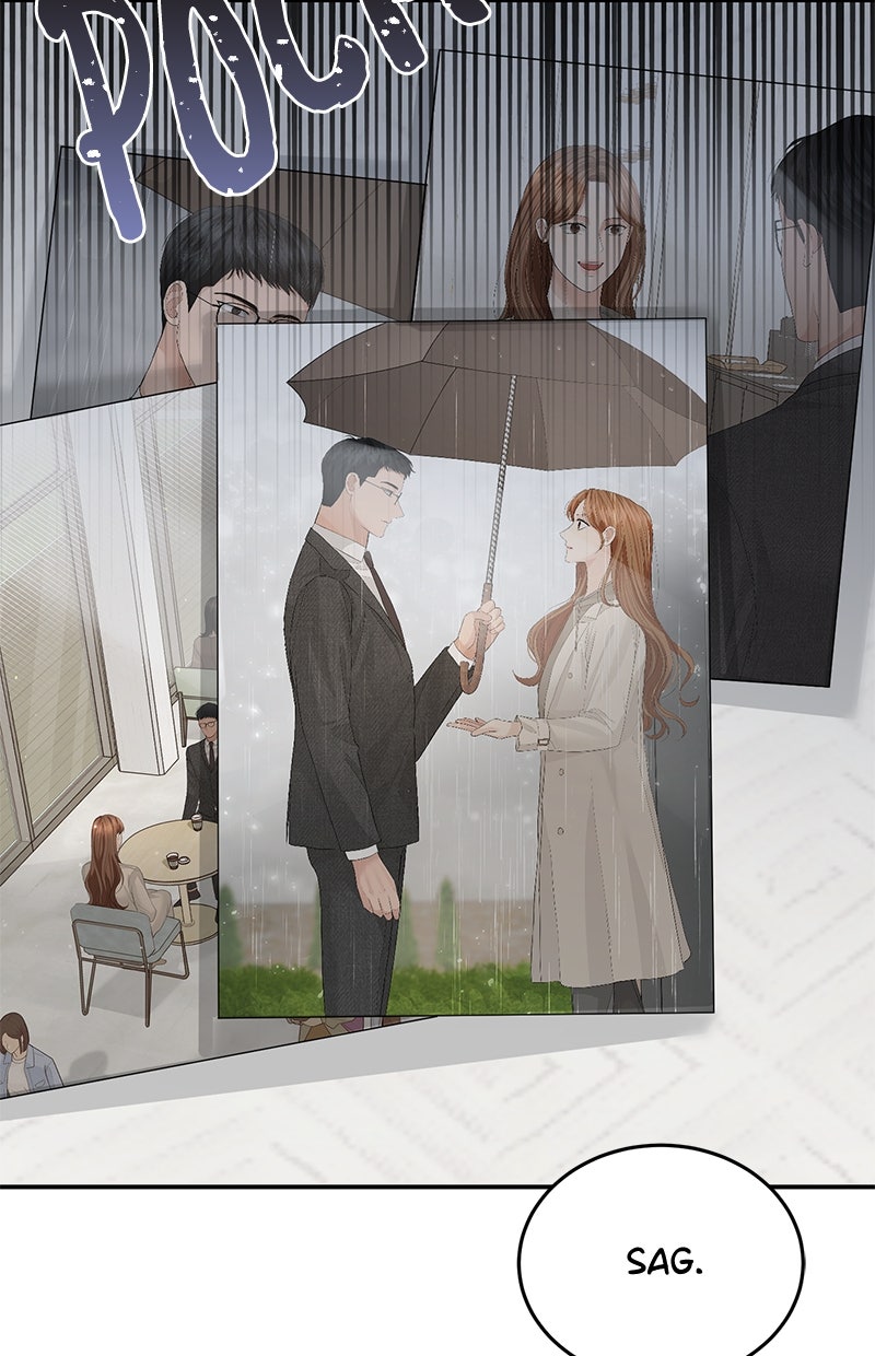 Read Perfect Marriage Revenge Manga Online