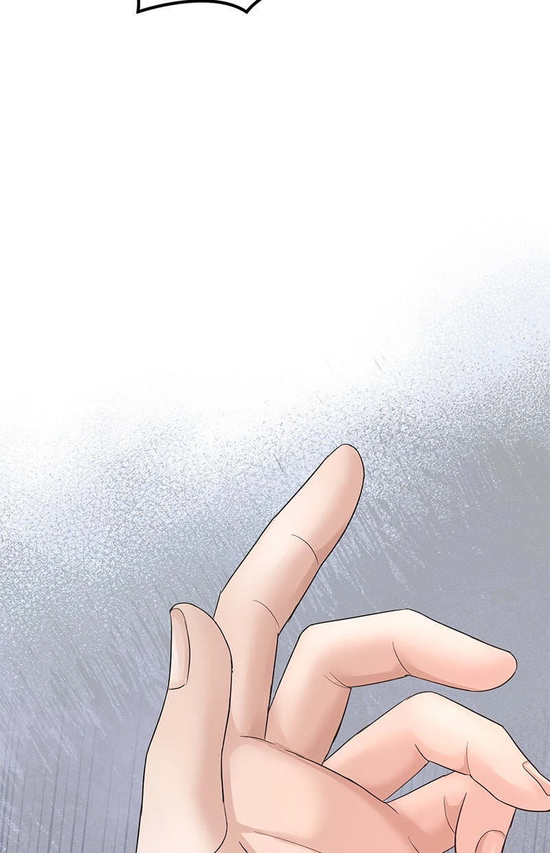 Read Perfect Marriage Revenge Manga Online