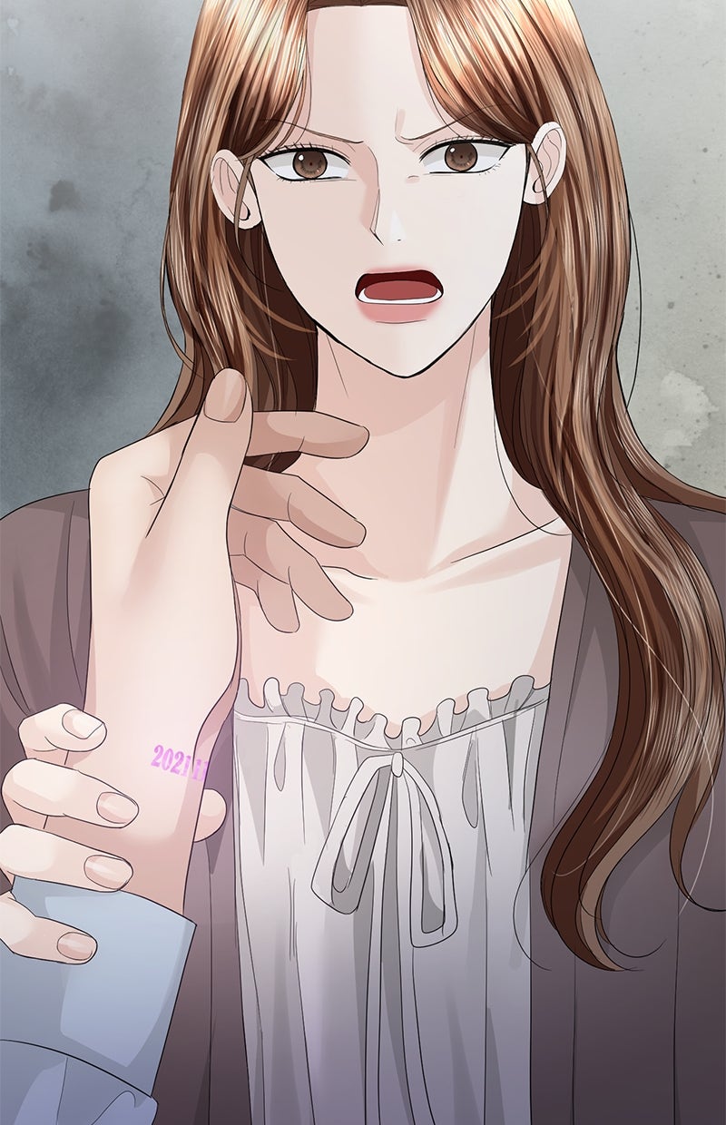 Read Perfect Marriage Revenge Manga Online