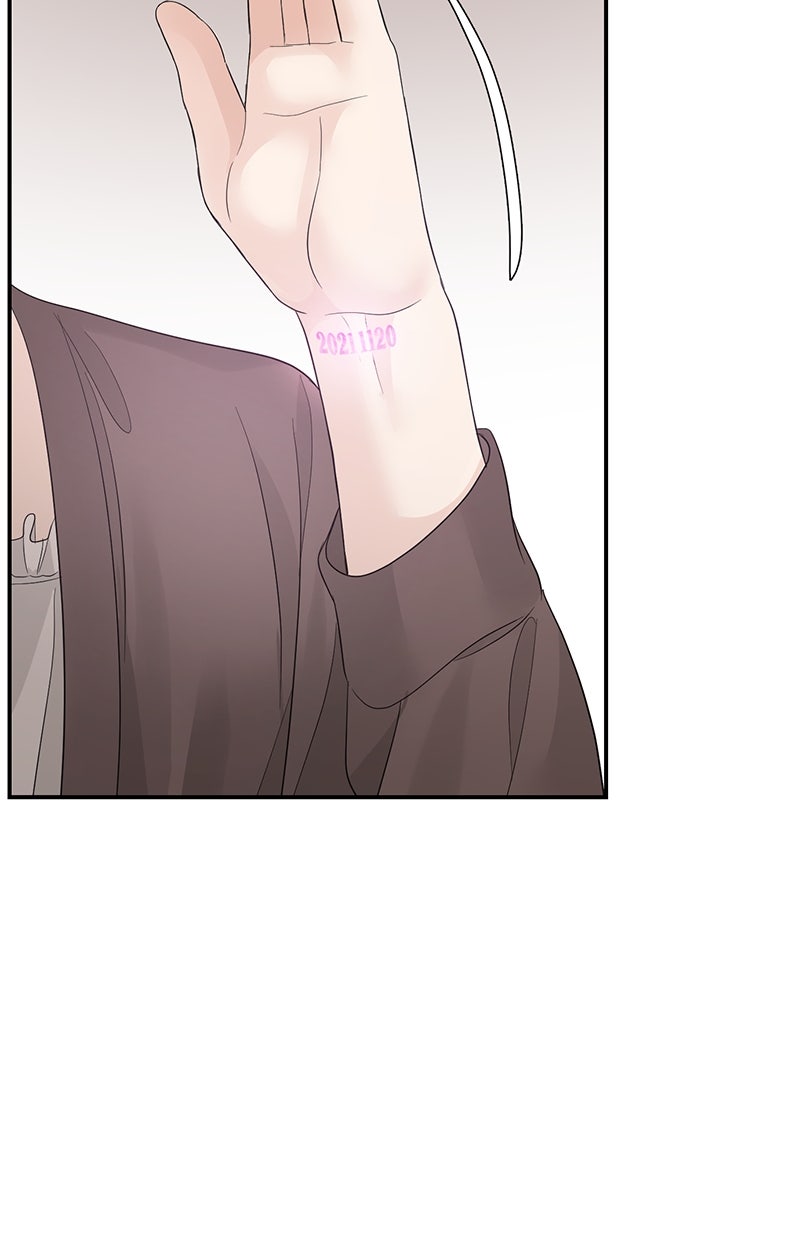 Read Perfect Marriage Revenge Manga Online