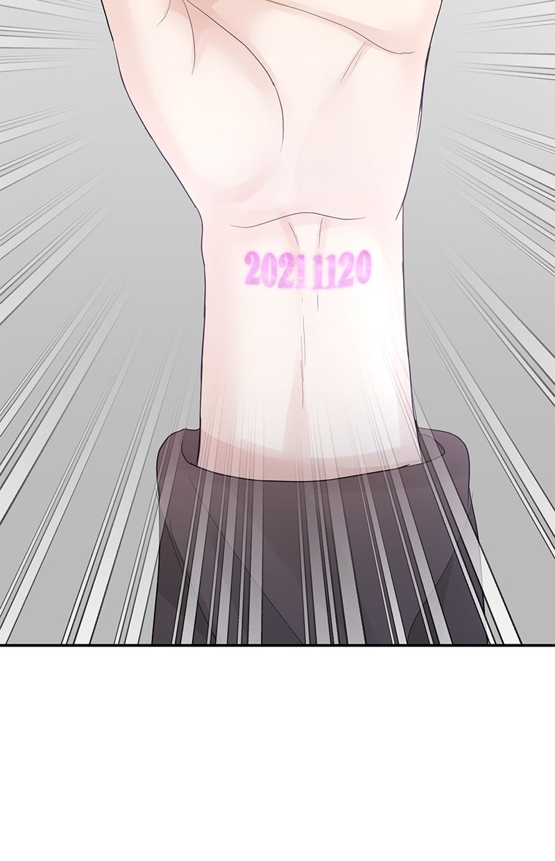Read Perfect Marriage Revenge Manga Online