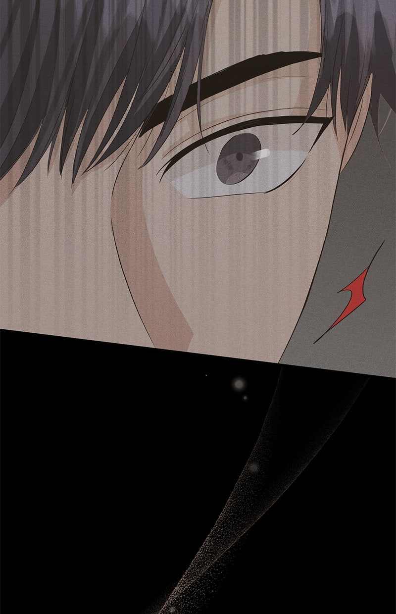 Read Perfect Marriage Revenge Manga Online