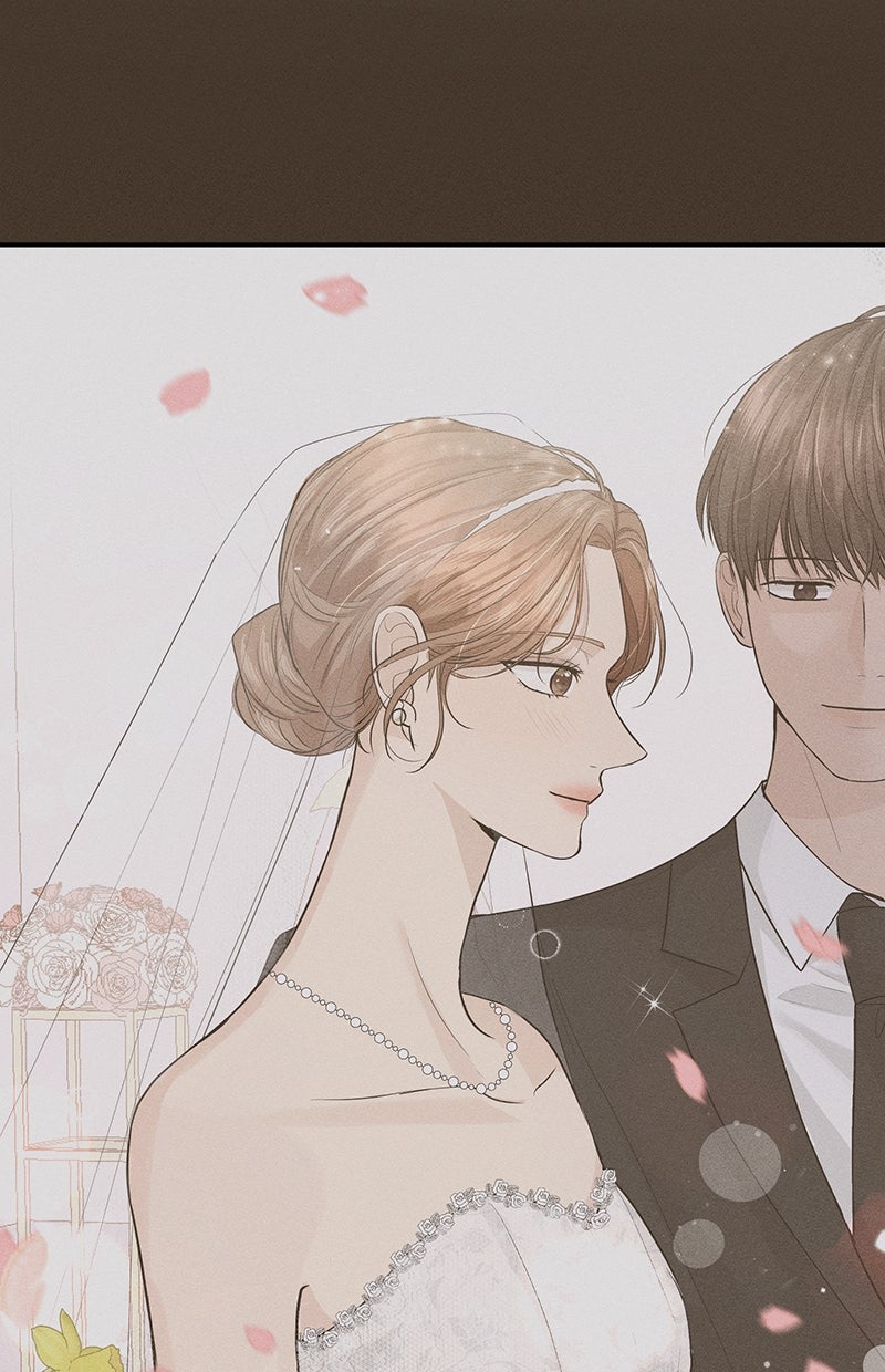 Read Perfect Marriage Revenge Manga Online