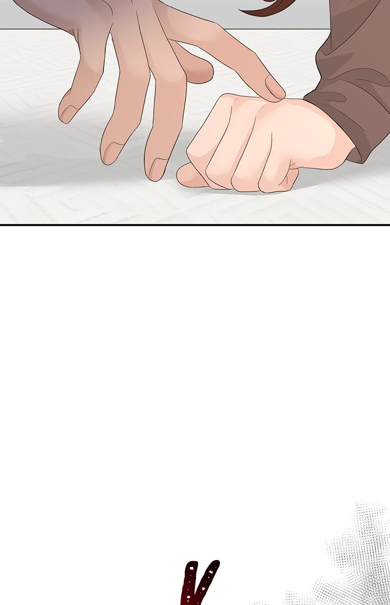 Read Perfect Marriage Revenge Manga Online