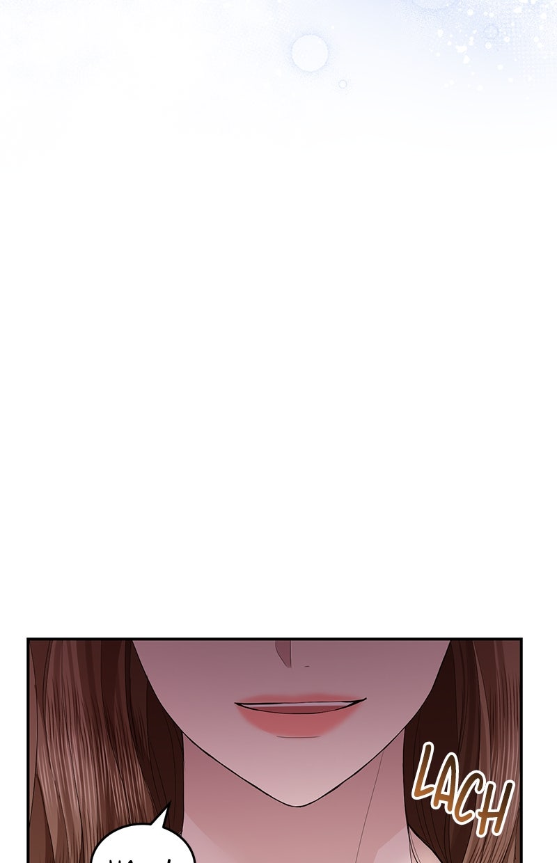 Read Perfect Marriage Revenge Manga Online