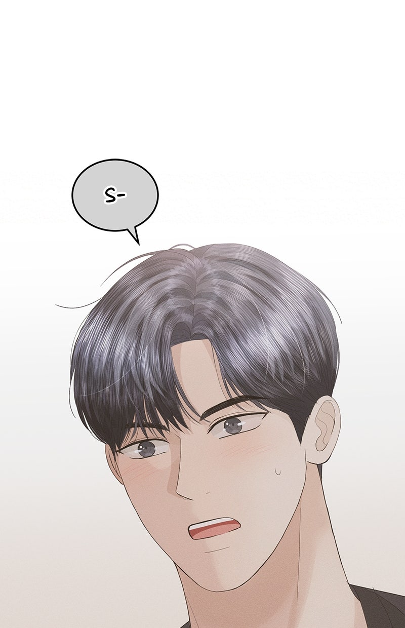 Read Perfect Marriage Revenge Manga Online