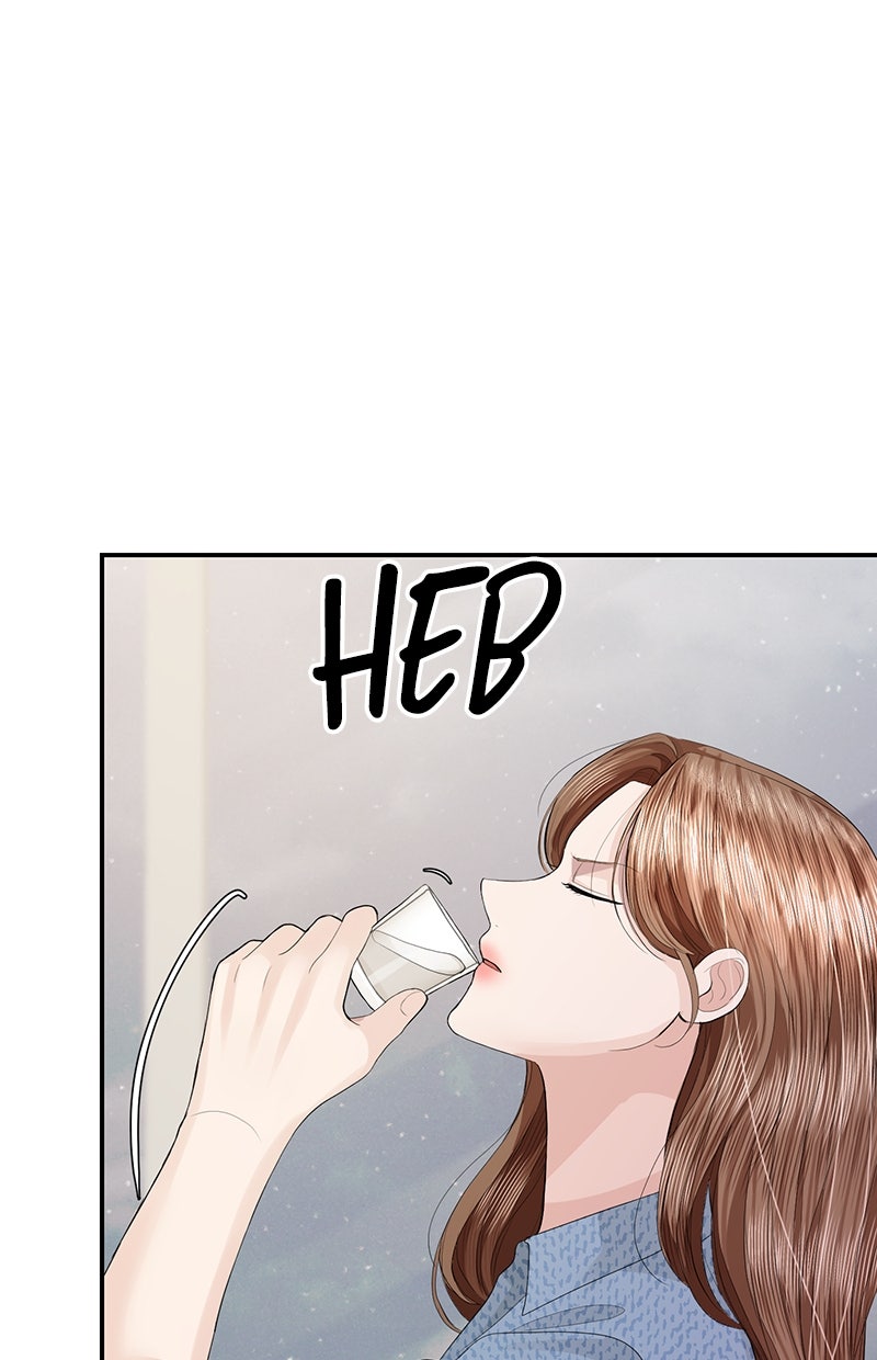 Read Perfect Marriage Revenge Manga Online