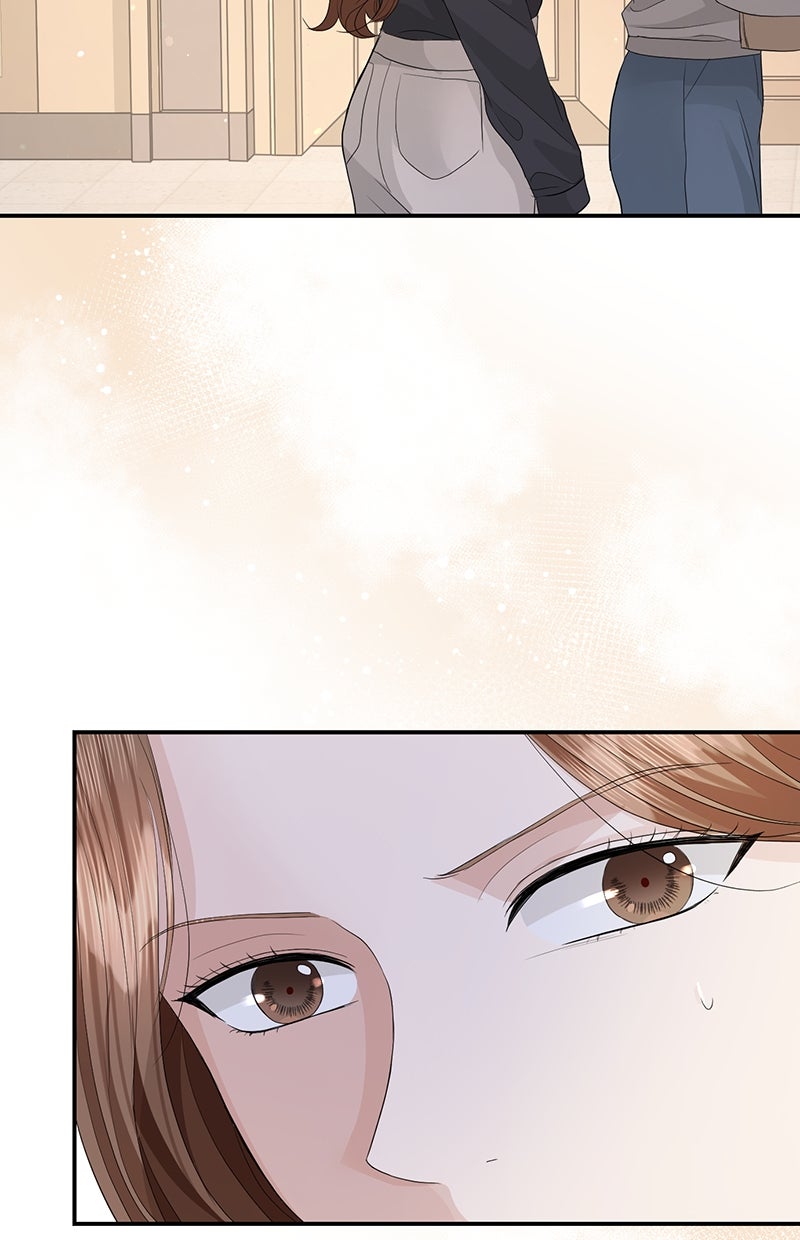 Read Perfect Marriage Revenge Manga Online