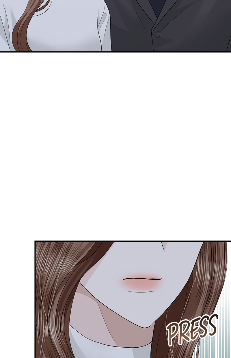 Read Perfect Marriage Revenge Manga Online