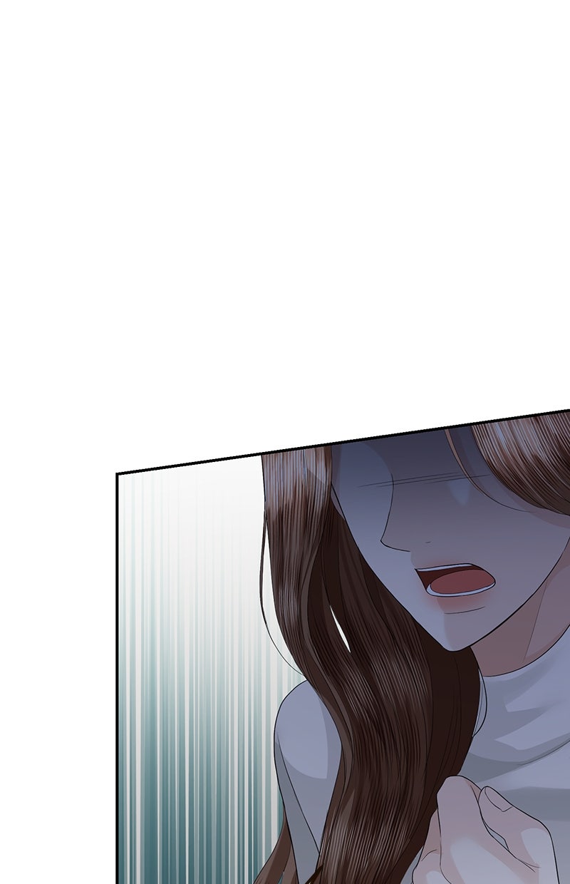 Read Perfect Marriage Revenge Manga Online