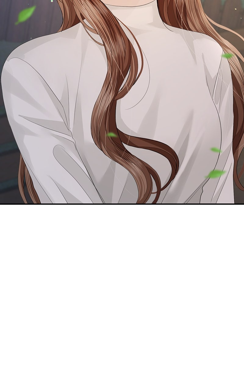 Read Perfect Marriage Revenge Manga Online