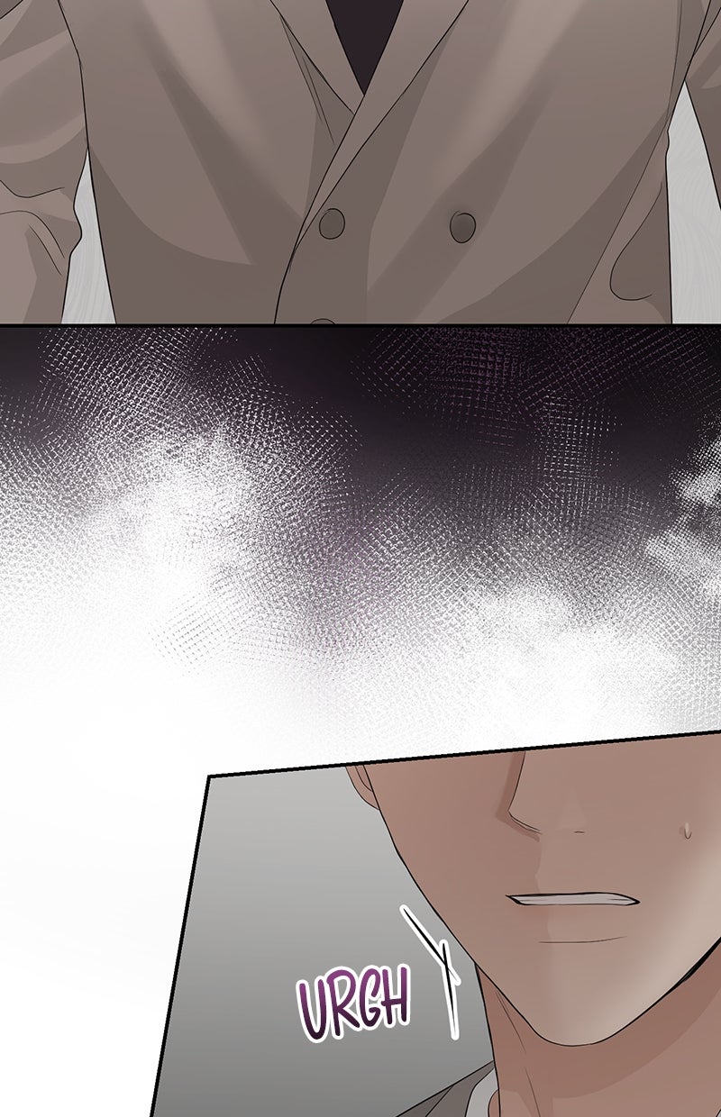 Read Perfect Marriage Revenge Manga Online
