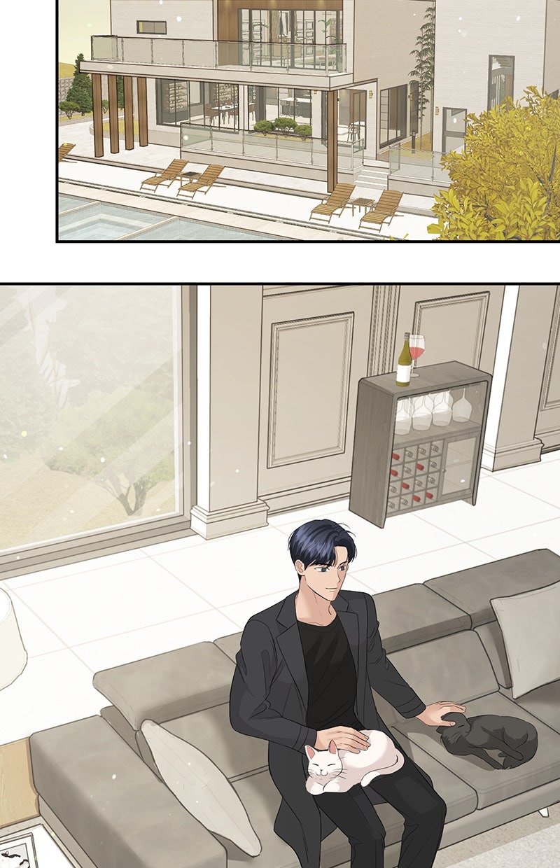 Read Perfect Marriage Revenge Manga Online