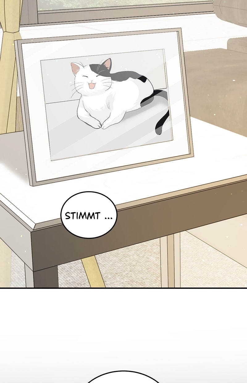 Read Perfect Marriage Revenge Manga Online
