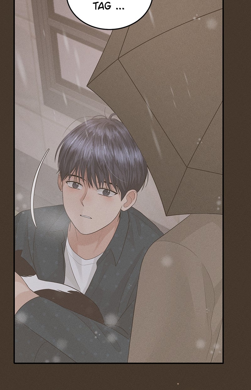 Read Perfect Marriage Revenge Manga Online