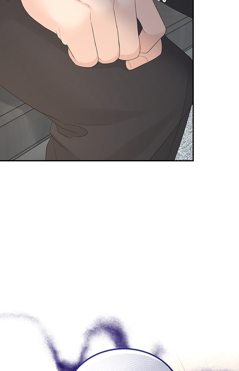 Read Perfect Marriage Revenge Manga Online