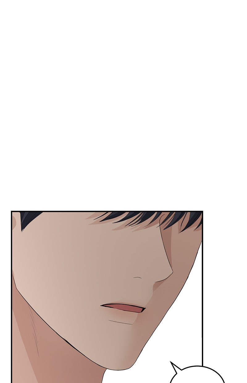Read Perfect Marriage Revenge Manga Online