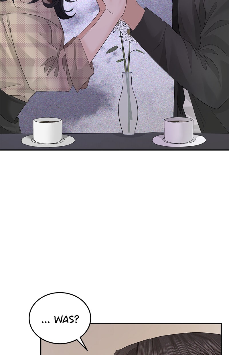 Read Perfect Marriage Revenge Manga Online