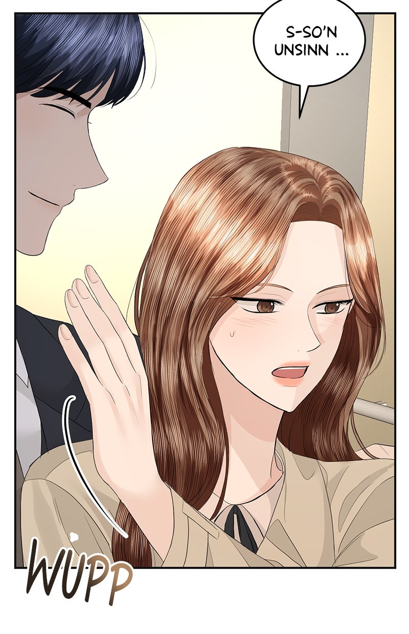 Read Perfect Marriage Revenge Manga Online