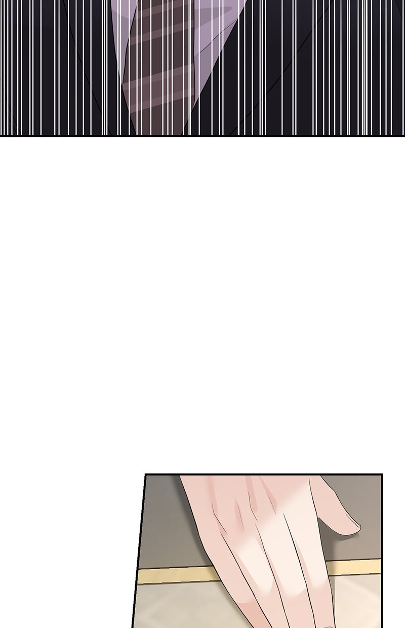Read Perfect Marriage Revenge Manga Online
