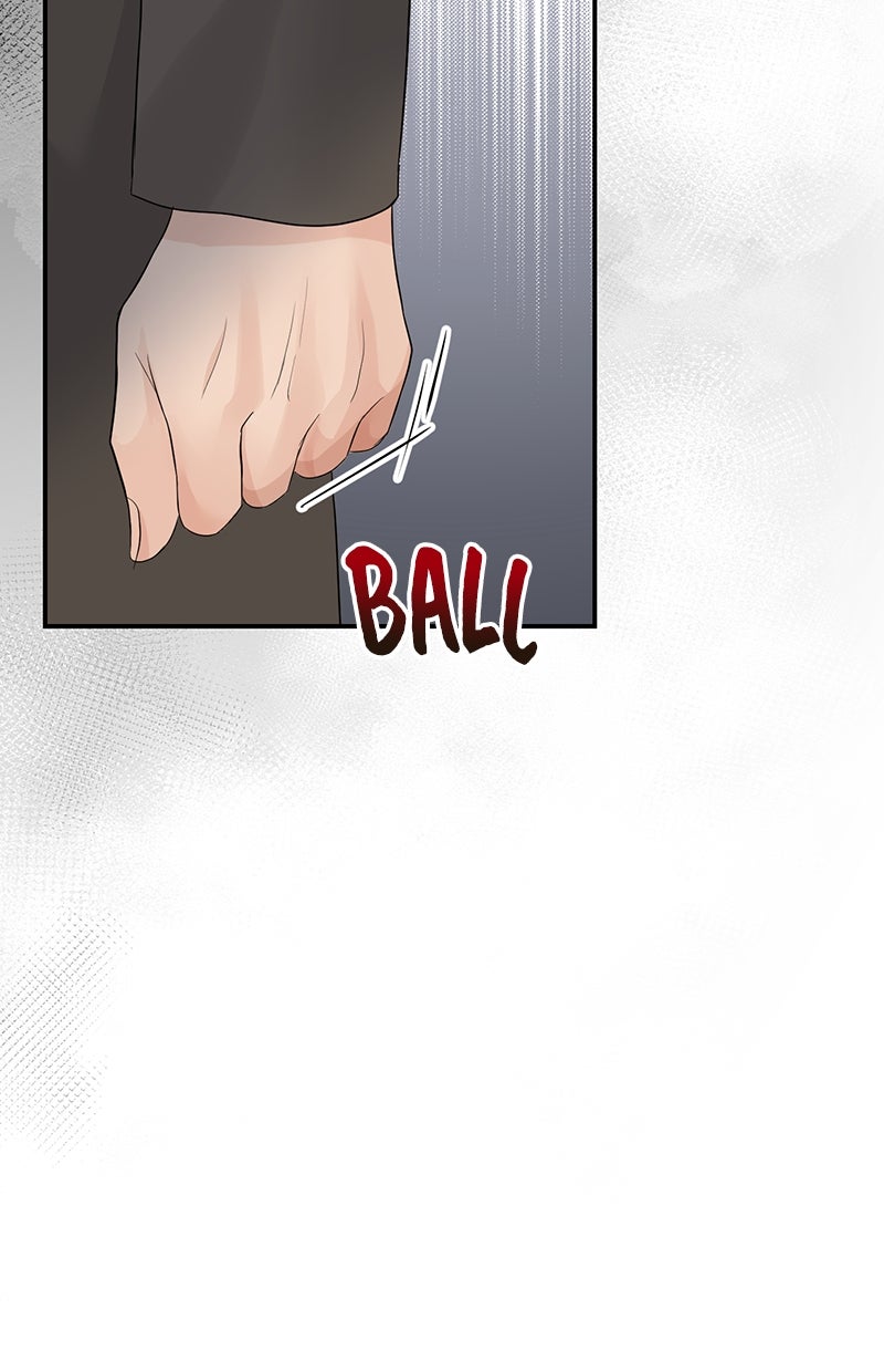 Read Perfect Marriage Revenge Manga Online