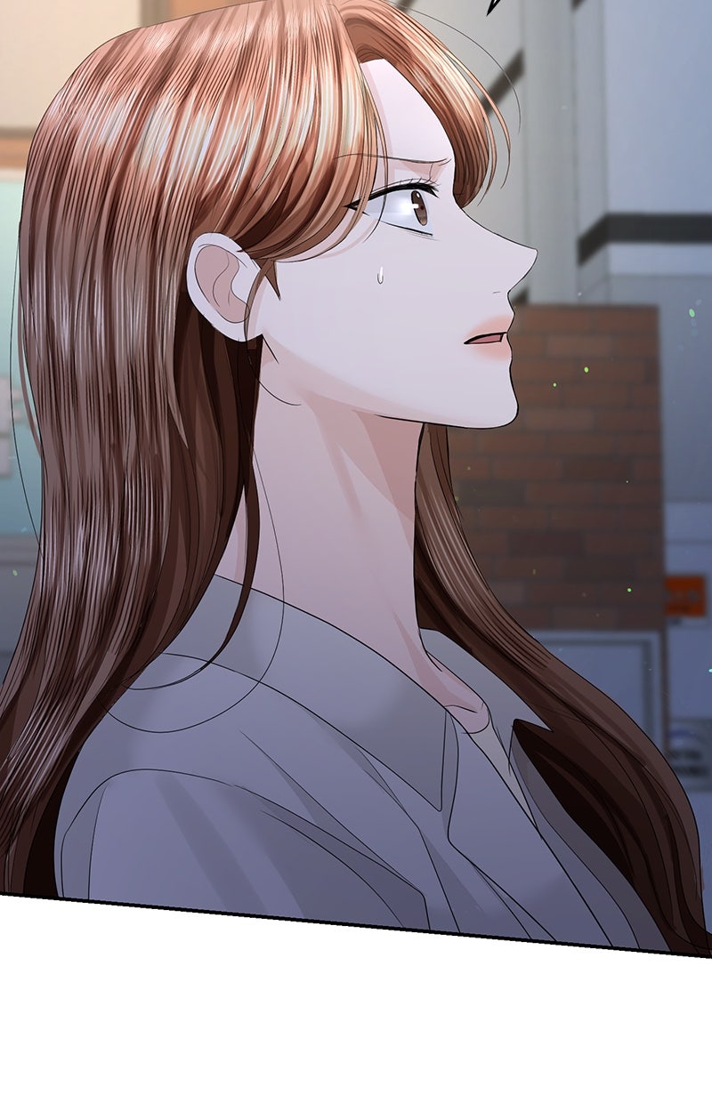 Read Perfect Marriage Revenge Manga Online
