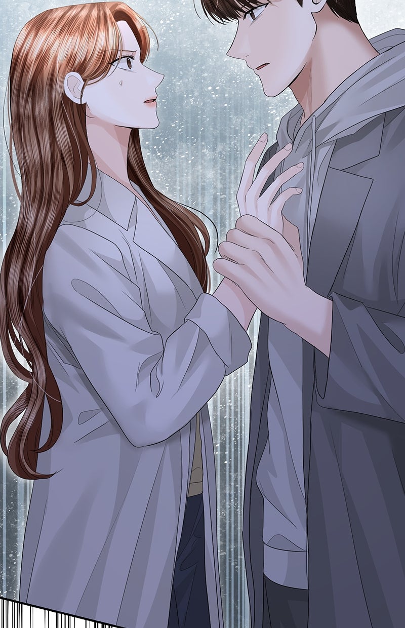 Read Perfect Marriage Revenge Manga Online