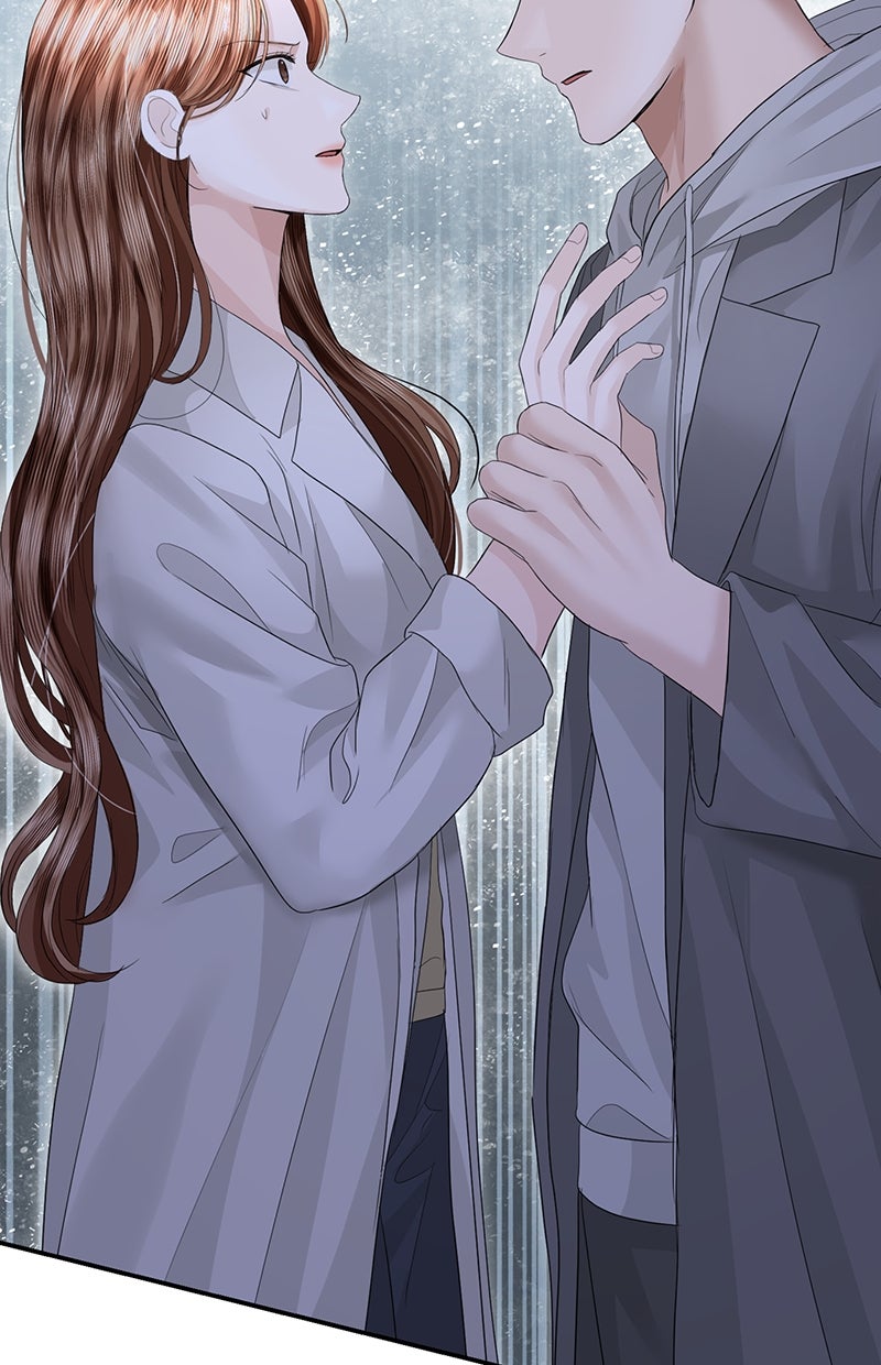 Read Perfect Marriage Revenge Manga Online