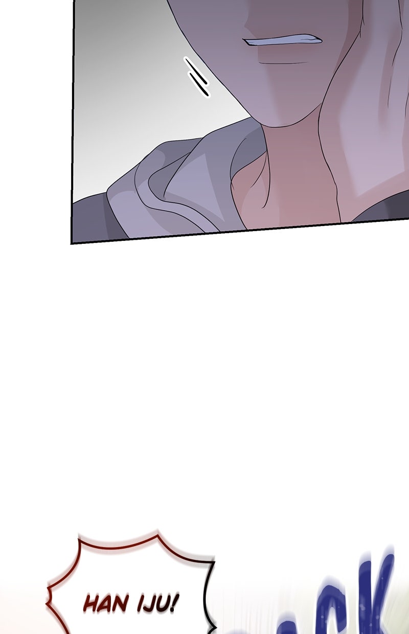 Read Perfect Marriage Revenge Manga Online
