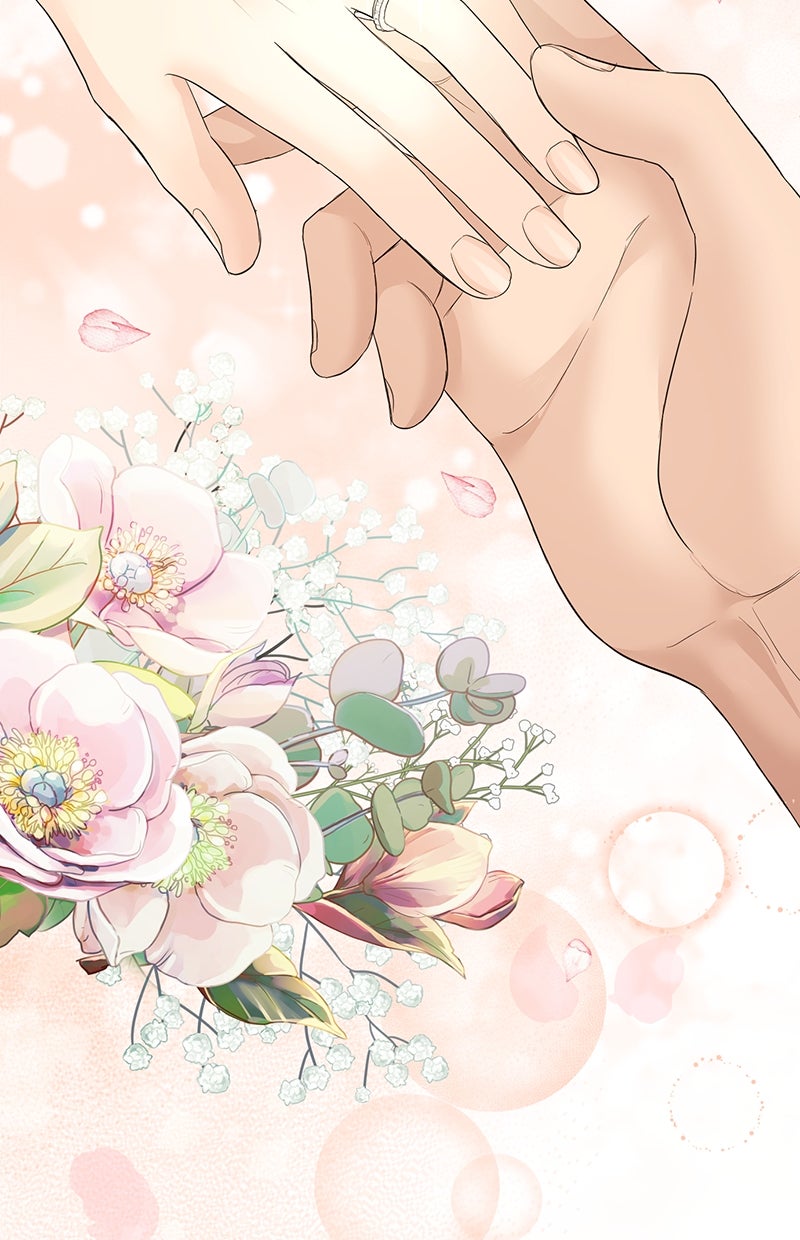 Read Perfect Marriage Revenge Manga Online
